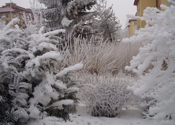 Oblastní charita Ostrov - Věnujte vánoční dárek našim seniorům!